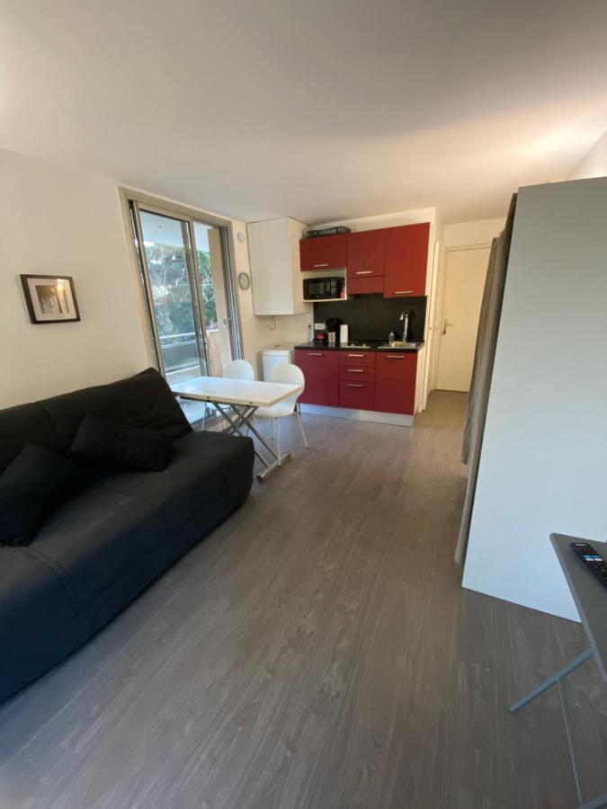 니스 Studio Avec Terrasse, Vue Sur Jardin 아파트 외부 사진